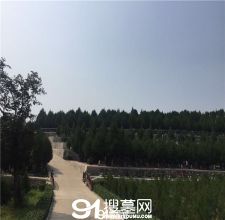 陵园风景图-3