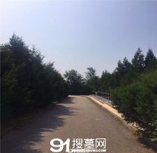 陵园风景图-3