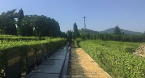 陵园风景图-7